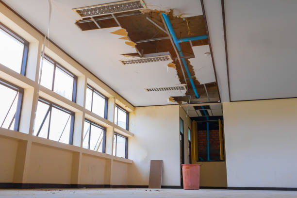 Best Water damage restoration near me  in Wauwatosa, WI