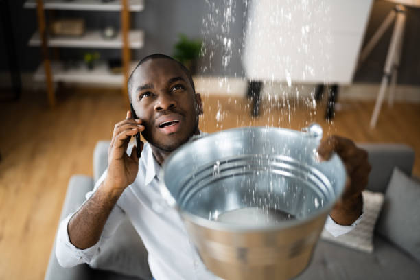 Best Professional water damage repair  in Wauwatosa, WI