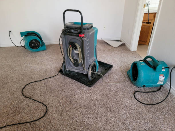 Best Flood damage cleanup  in Wauwatosa, WI