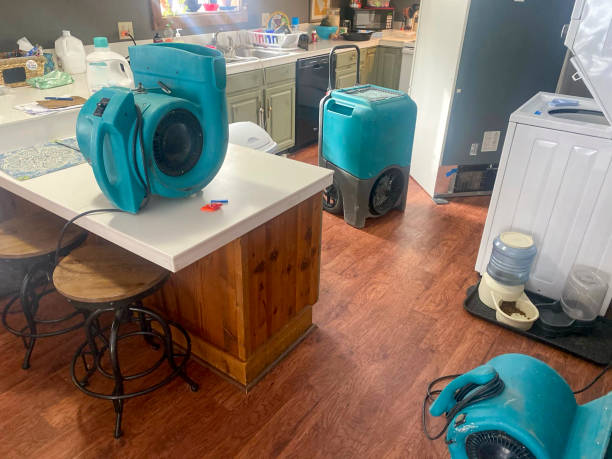 Best Local water damage restoration  in Wauwatosa, WI