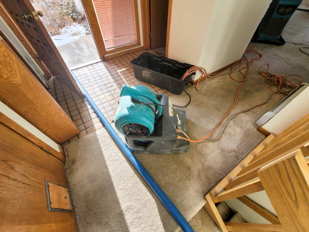 Best Water damage repair service  in Wauwatosa, WI