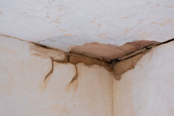 Best Water damage restoration near me  in Wauwatosa, WI