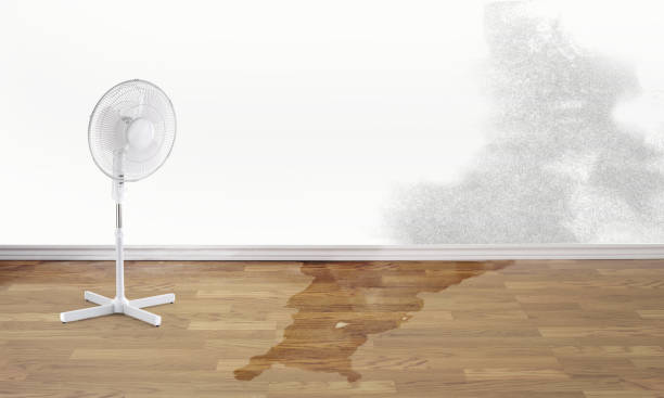 Best 24-hour water damage restoration  in Wauwatosa, WI