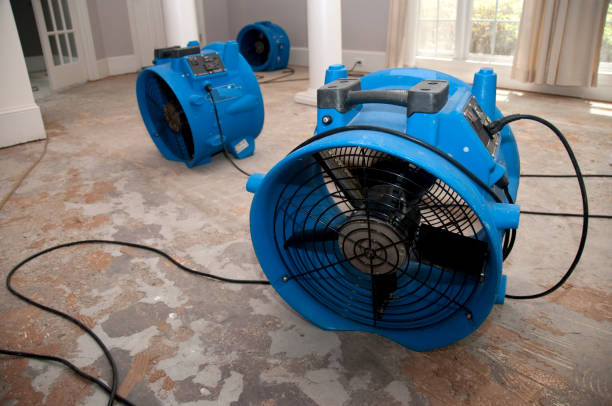 Best Flooded house restoration  in Wauwatosa, WI