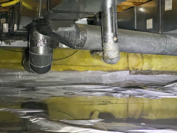 Best Basement water damage restoration  in Wauwatosa, WI