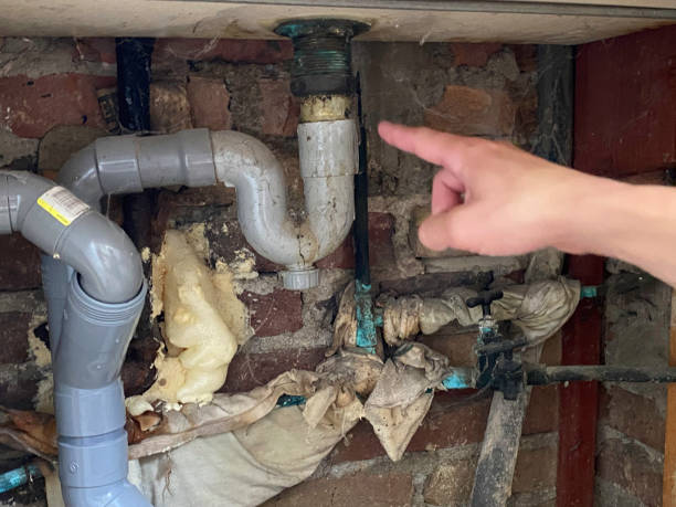 Best Water damage contractors near me  in Wauwatosa, WI