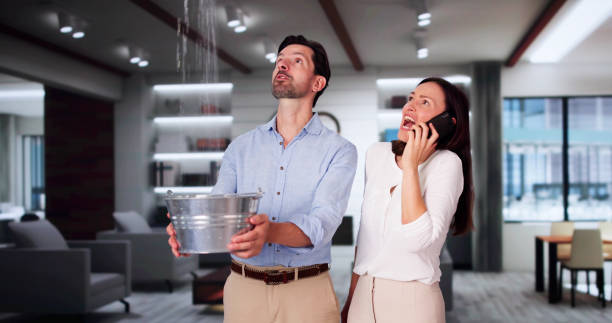 Best 24/7 water damage repair  in Wauwatosa, WI