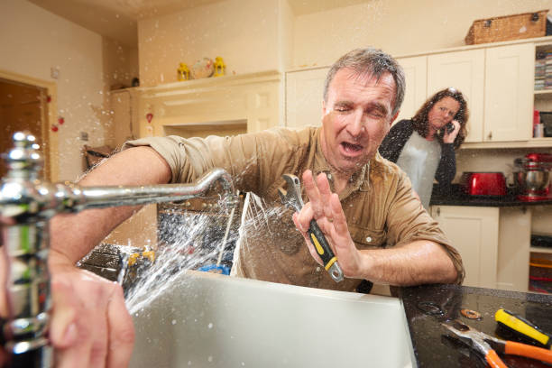 Best Water damage restoration mold remediation  in Wauwatosa, WI